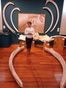 En la sala dedicada a la flora y fauna marina del Museo do Mar