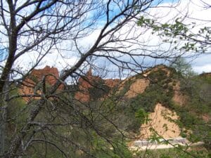Las Médulas y sus árboles