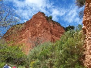 Fruto del Ruina Montium
