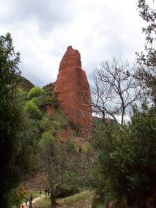 Arboles en Las Médulas