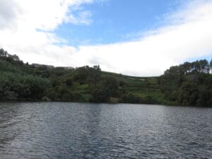 Vides en la comarca de O Ribeiro