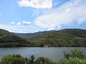 Viñedos en bancales