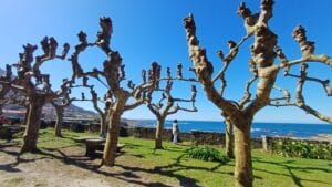 Plaza de armas del monasterio de Oia