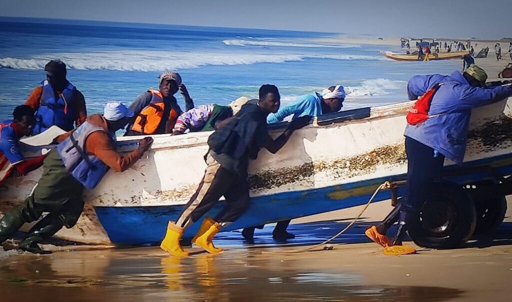 11_En_mercado_pescado_Nouadhibou